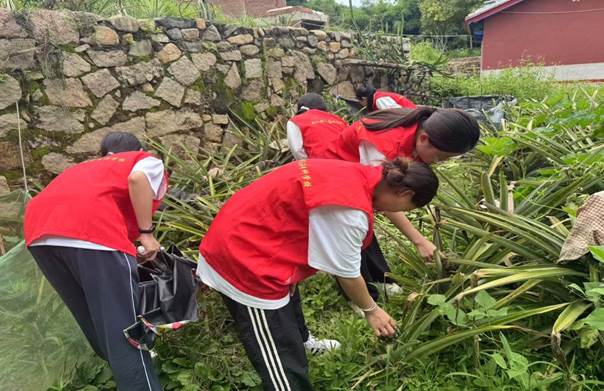 微信图片_20250717144521