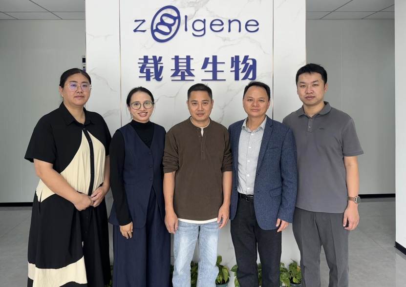 e420e7902a5af1ab50d0a89d8aefe6cb